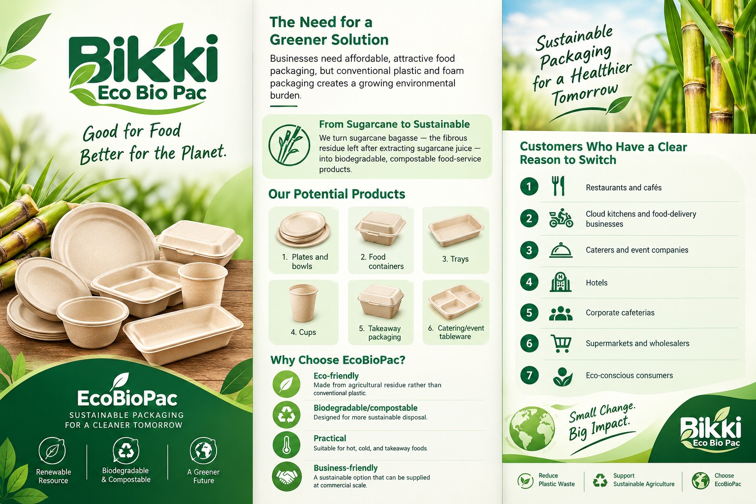 Bikki Eco Bio Pac company overview brochure